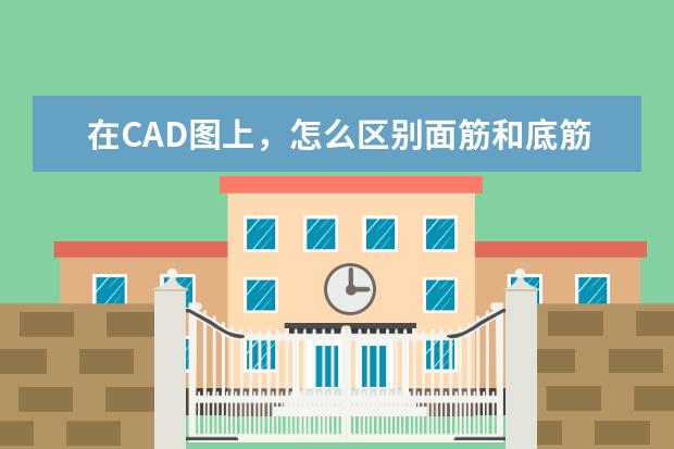 在CAD图上，怎么区别面筋和底筋？
