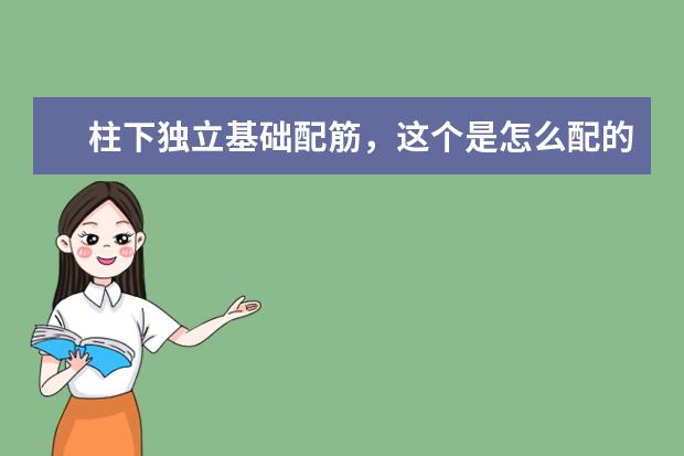 柱下独立基础配筋，这个是怎么配的，求解，谢谢