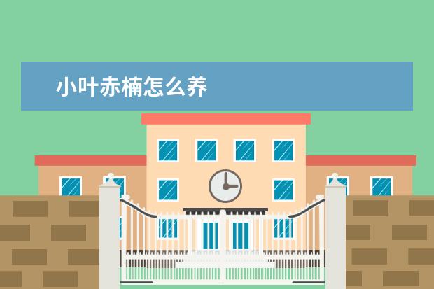 小叶赤楠怎么养