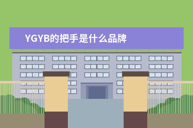 YGYB的把手是什么品牌