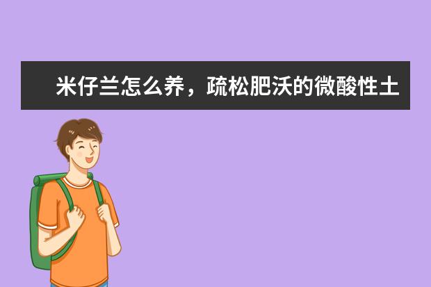 米仔兰怎么养，疏松肥沃的微酸性土壤养护