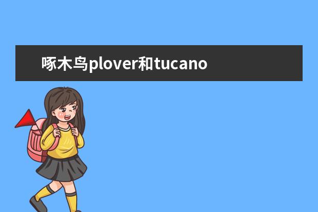 啄木鸟plover和tucano哪个贵