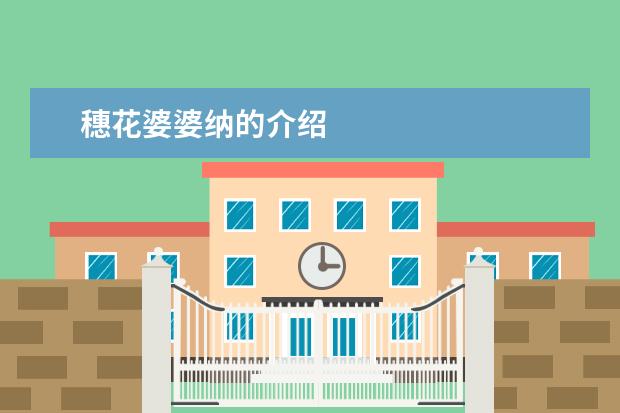 穗花婆婆纳的介绍