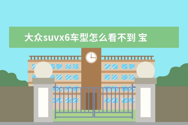 大众suvx6车型怎么看不到 宝马x6是suv吗