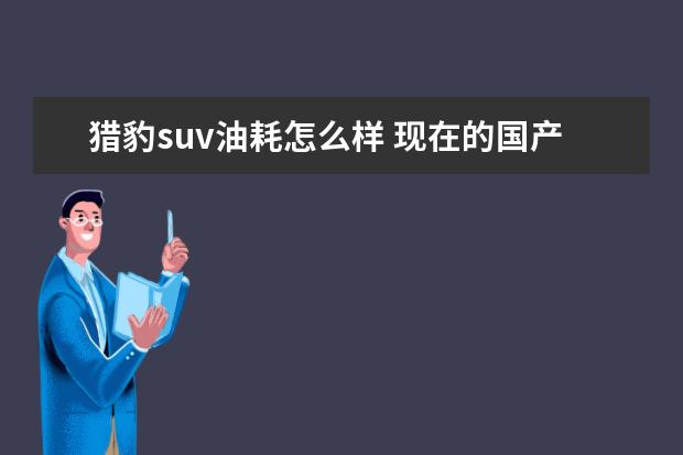 猎豹suv油耗怎么样 现在的国产车跟合资车比还存在哪些差距,为什么? - ...