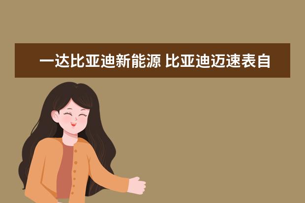 一达比亚迪新能源 比亚迪迈速表自动上升怎么回事比亚迪迈速表自动上升怎么回事