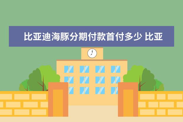 比亚迪海豚分期付款首付多少 比亚迪宋落地价大概多少（大概8.16万元起）