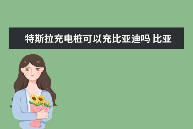 特斯拉充电桩可以充比亚迪吗 比亚迪海豚顶配落地多少钱（大概12.84万元）