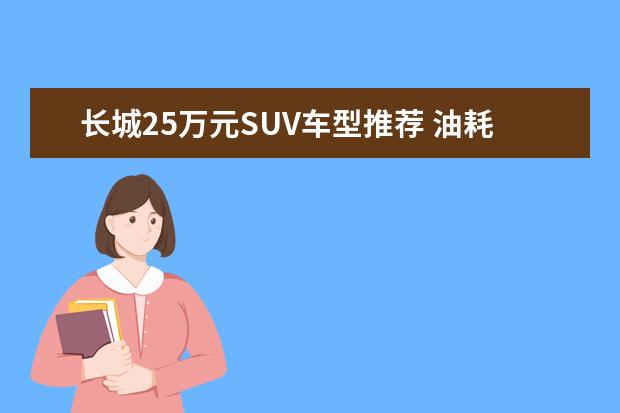长城25万元SUV车型推荐 油耗不高价格不高性价比却很高