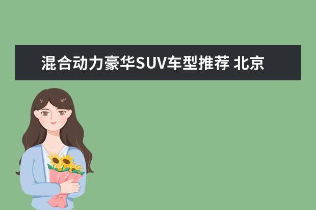 混合动力豪华SUV车型推荐 北京现代最新suv车型