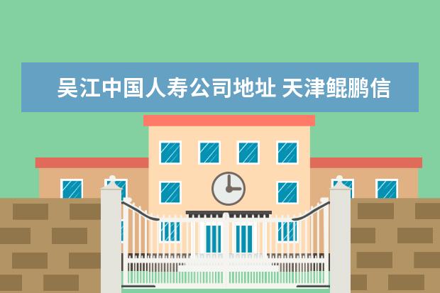 吴江中国人寿公司地址 天津鲲鹏信息技术有限公司营收多少