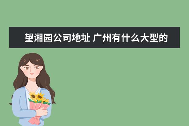 望湘园公司地址 广州有什么大型的商场?