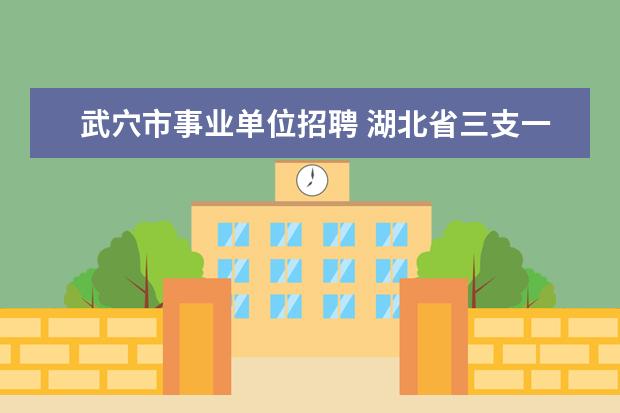 武穴市事业单位招聘 湖北省三支一扶要考试吗?