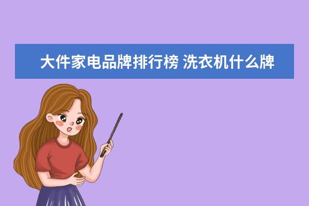 大件家电品牌排行榜 洗衣机什么牌子好?