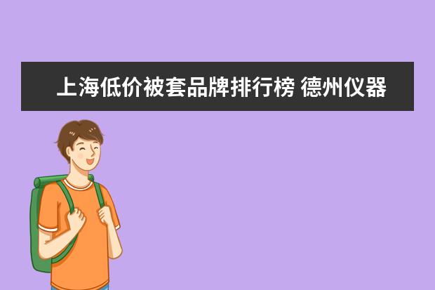 上海低价被套品牌排行榜 德州仪器简介及详细资料