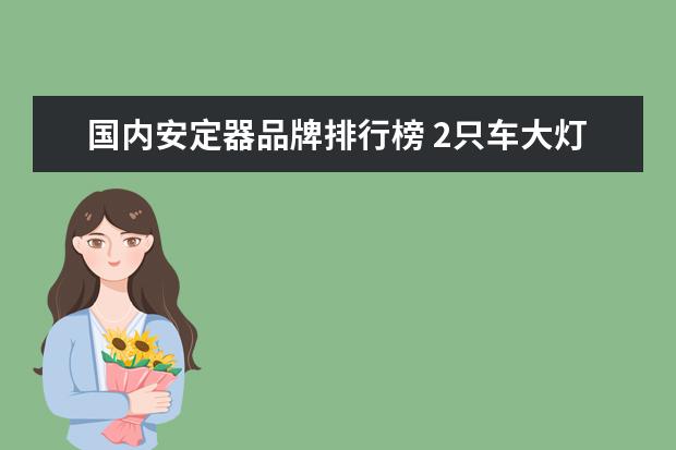 国内安定器品牌排行榜 2只车大灯用不一样品牌的安定器要紧吗