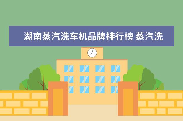 湖南蒸汽洗车机品牌排行榜 蒸汽洗车机 弊端?