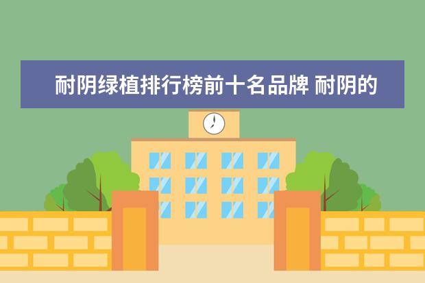 耐阴绿植排行榜前十名品牌 耐阴的大型绿植有哪些(养不死的耐阴植物排名) - 百...