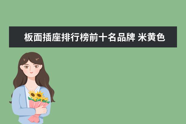 板面插座排行榜前十名品牌 米黄色墙面配灰色板面开关好看吗