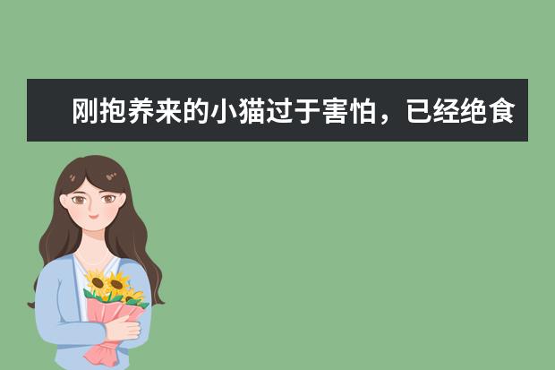 刚抱养来的小猫过于害怕，已经绝食绝水30多个小时了，怎么办？