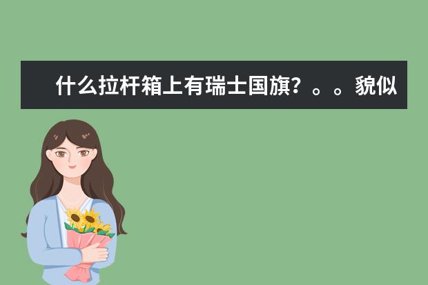 什么拉杆箱上有瑞士国旗？。。貌似是英国的某个品牌吧。。