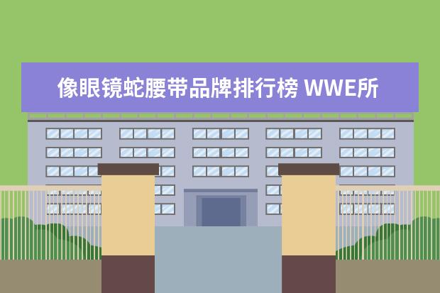 像眼镜蛇腰带品牌排行榜 WWE所有选手实力排名。