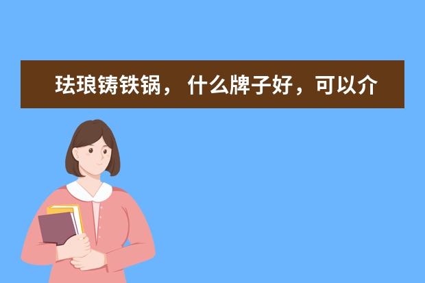 珐琅铸铁锅， 什么牌子好，可以介绍下吗？