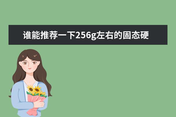 谁能推荐一下256g左右的固态硬盘，什么mlc t