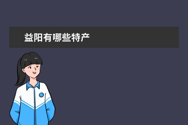 益阳有哪些特产