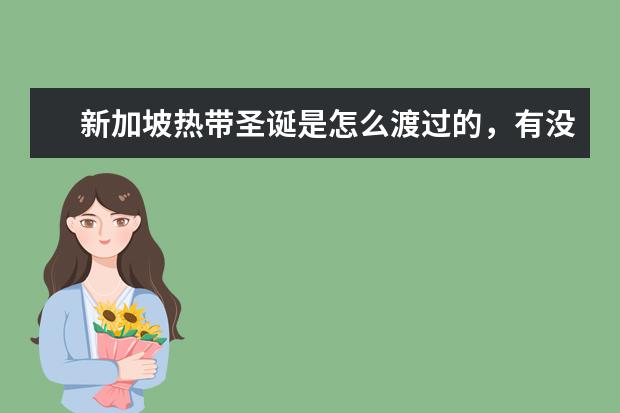 新加坡热带圣诞是怎么渡过的，有没有什么历史渊源？