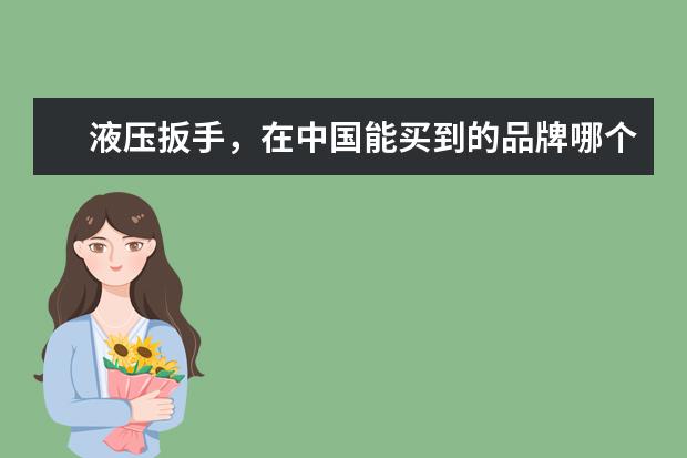 液压扳手，在中国能买到的品牌哪个最好？