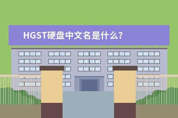 HGST硬盘中文名是什么？