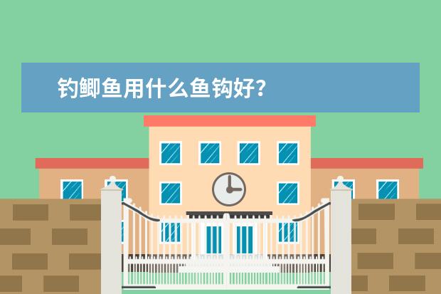 钓鲫鱼用什么鱼钩好？
