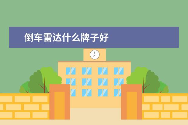 倒车雷达什么牌子好