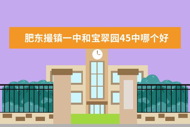 肥东撮镇一中和宝翠园45中哪个好