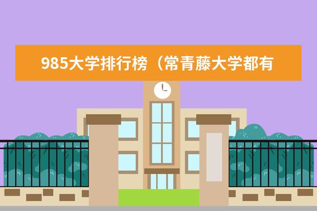 985大学排行榜（常青藤大学都有哪几所大学？）