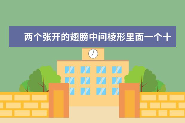 两个张开的翅膀中间棱形里面一个十字是什么牌子的手表