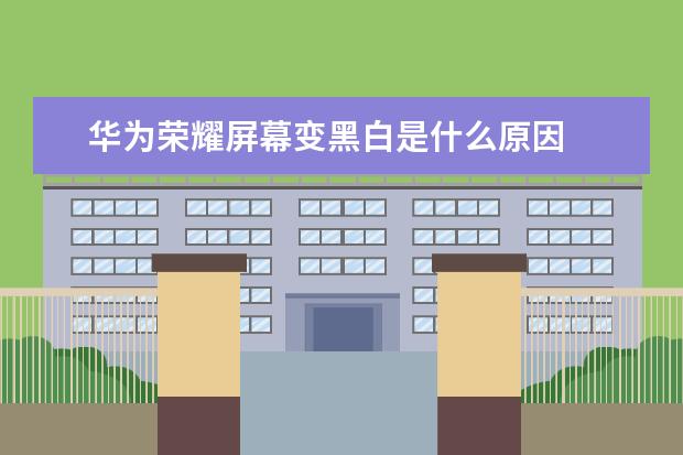 华为荣耀屏幕变黑白是什么原因