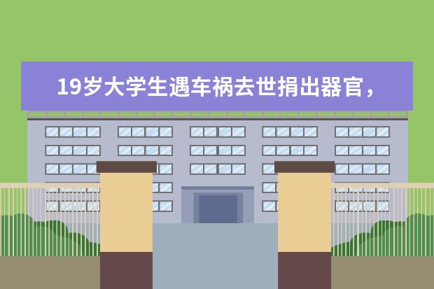 19岁大学生遇车祸去世捐出器官，捐赠出的器官会去到哪里？