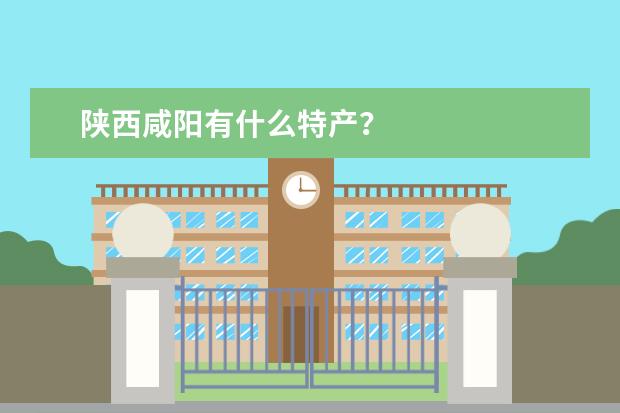 陕西咸阳有什么特产？