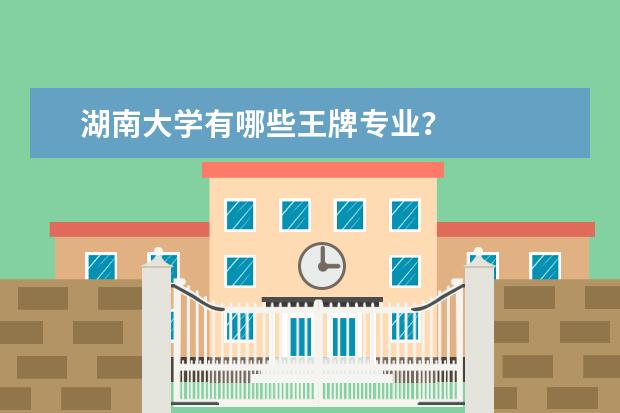 湖南大学有哪些王牌专业？