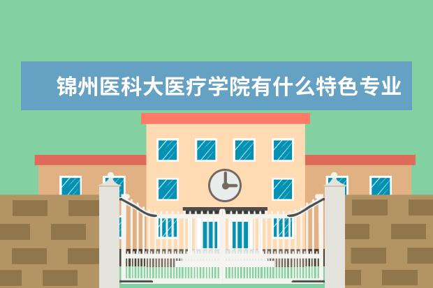 锦州医科大医疗学院有什么特色专业？