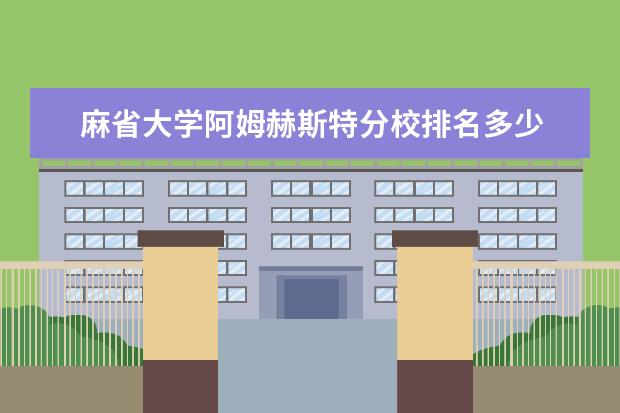 麻省大学阿姆赫斯特分校排名多少