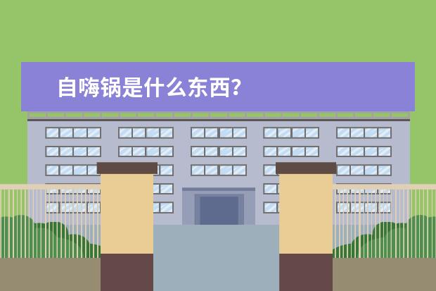 自嗨锅是什么东西？