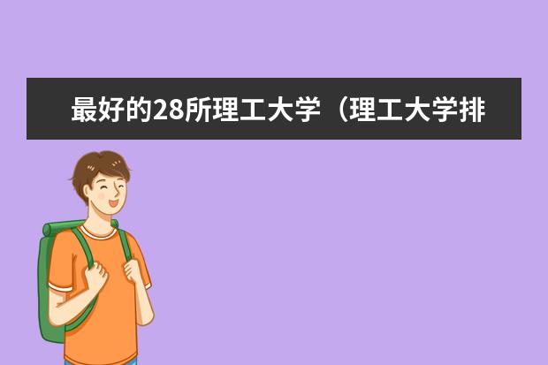 最好的28所理工大学（理工大学排名）