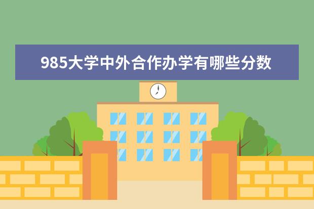 985大学中外合作办学有哪些分数线
