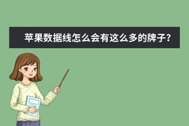 苹果数据线怎么会有这么多的牌子？比如品胜什么，能用吗？京东上会不会有假货？
