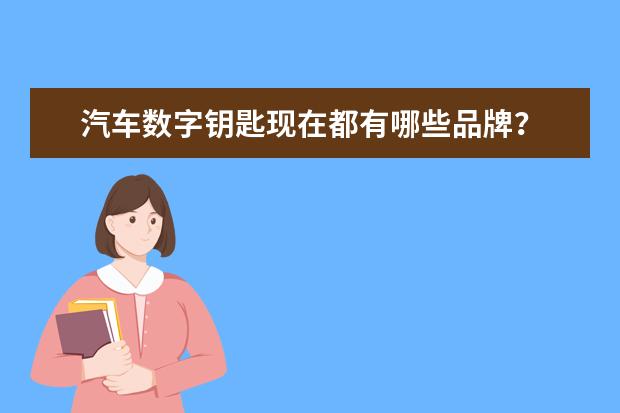 汽车数字钥匙现在都有哪些品牌？