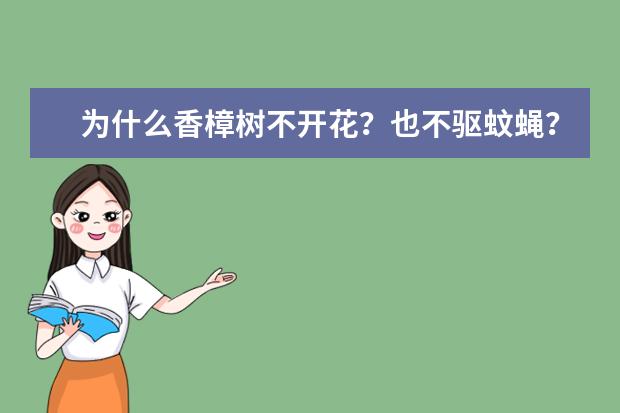 为什么香樟树不开花？也不驱蚊蝇？
