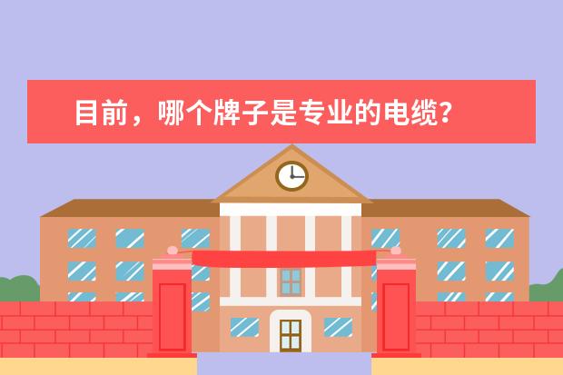 目前，哪个牌子是专业的电缆？